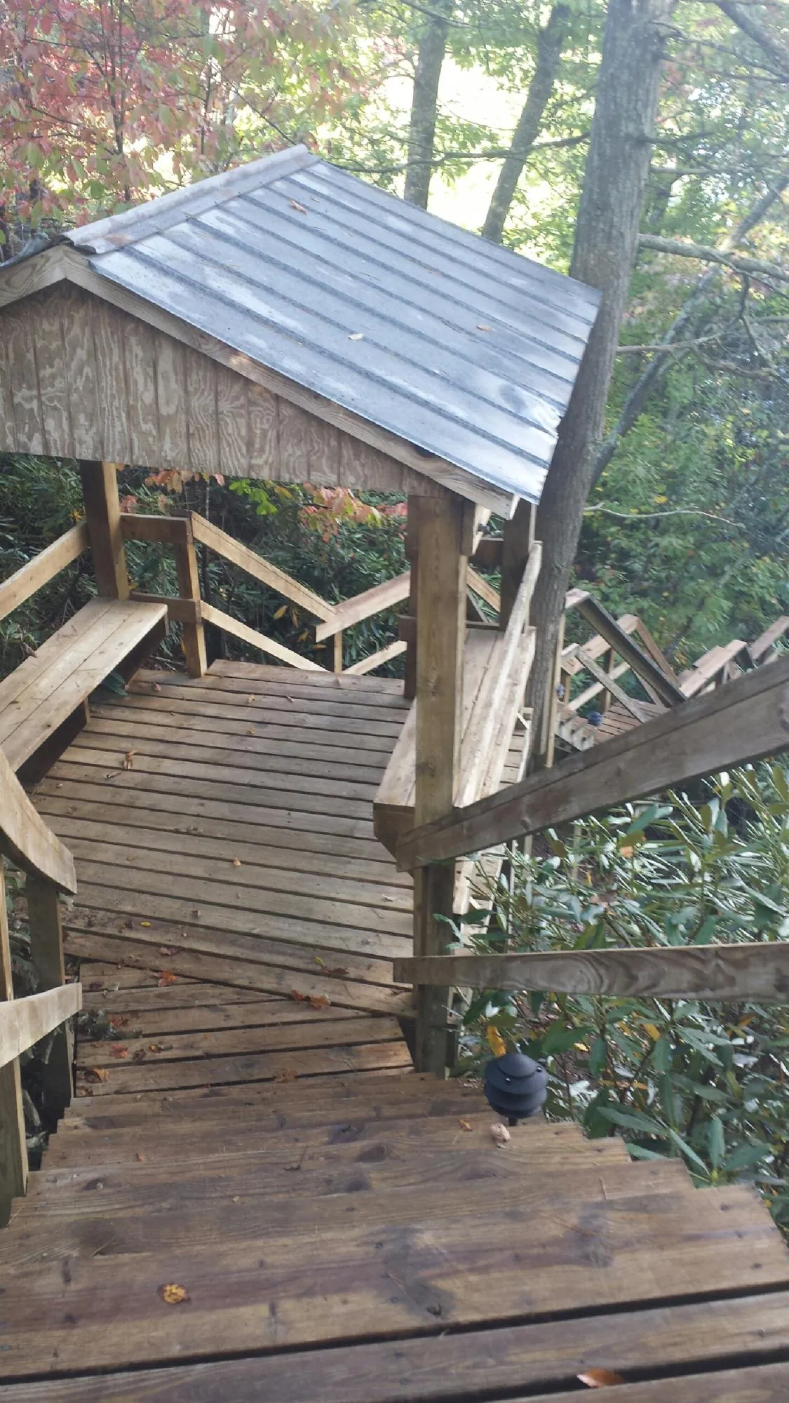 Metal roofed shelter over wooden steps on a wooded walkway — Skylight Repair & Installation work by our crew in Dripping Springs